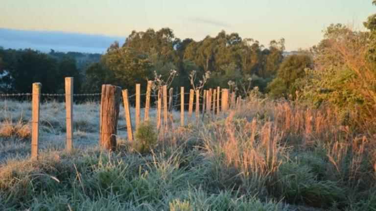 ¿Llega el frio a Misiones?