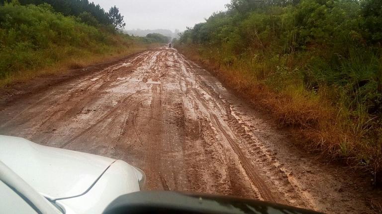 Misiones:  viernes inestable con probabilidad de chaparrones y tormentas aisladas