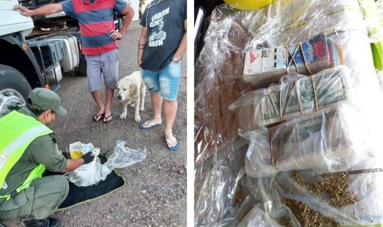 Corrientes: Llevaba 50 mil dólares escondidos en paquetes de yerba