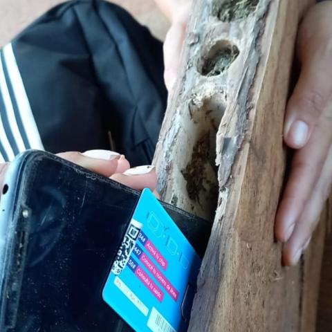 En una madera quisieron ingresar droga y celulares diciendo que era para hacer artesanías 