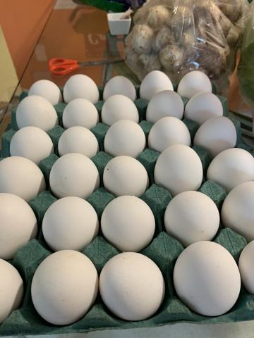 Insolito: intento ingresar droga en un maple de huevos