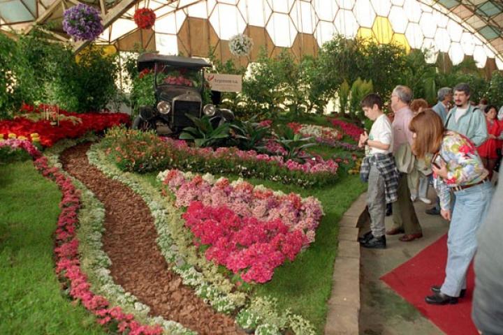 37 edición de la Fiesta Provincial de la Flor   