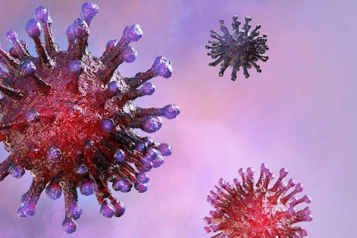 Covid-19: Misiones reportó una nueva víctima fatal