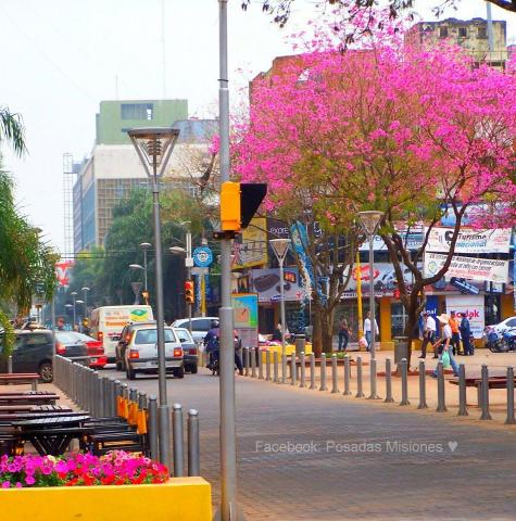 ¿Vuelven las lluvias?