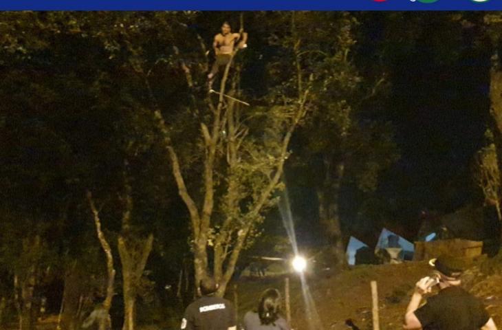 Se subió a un árbol y amenazó con suicidarse