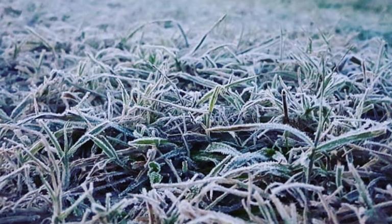 Heladas y temperaturas muy bajas en toda la provincia de Misiones