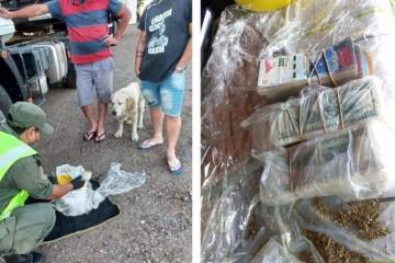 Corrientes: Llevaba 50 mil dólares escondidos en paquetes de yerba