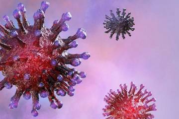 Covid-19: Misiones reportó una nueva víctima fatal